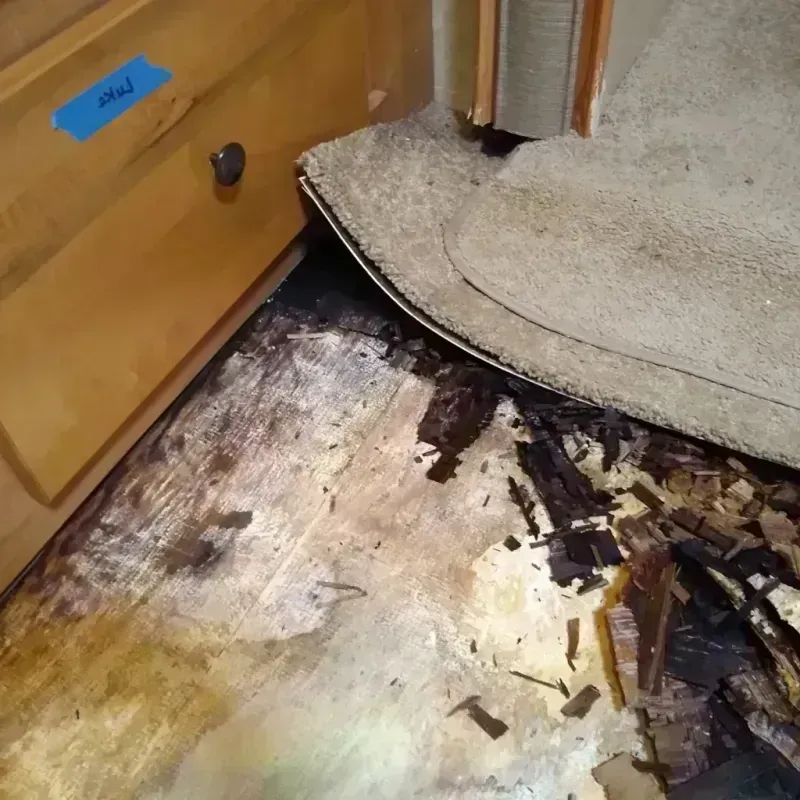 Best Wood Floor Water Damage Service in Oscoda County, MI